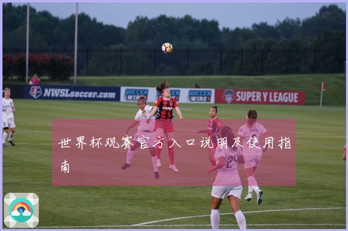 世界杯观赛官方入口说明及使用指南