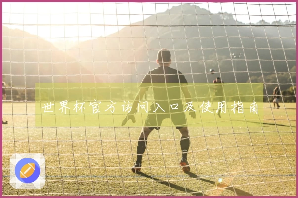 世界杯官方访问入口及使用指南
