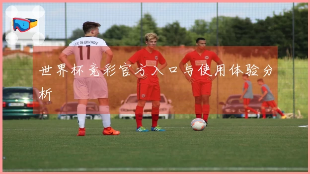 世界杯竞彩官方入口与使用体验分析