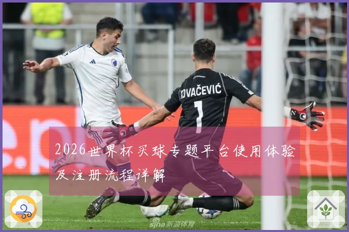 2026世界杯买球专题平台使用体验及注册流程详解