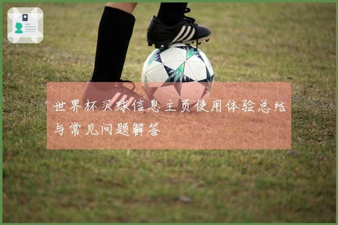 世界杯买球信息主页使用体验总结与常见问题解答