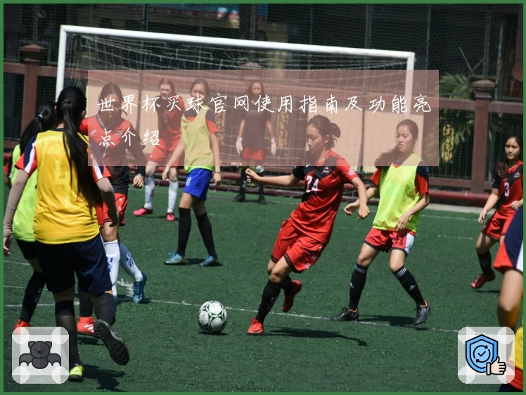世界杯买球官网使用指南及功能亮点介绍