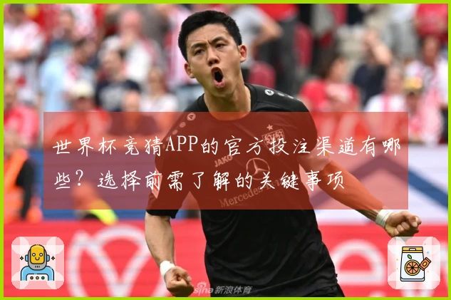 世界杯竞猜APP的官方投注渠道有哪些？选择前需了解的关键事项