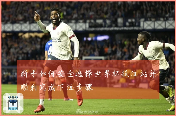 新手如何安全选择世界杯投注站并顺利完成下注步骤
