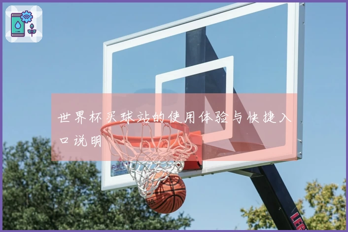 世界杯买球站的使用体验与快捷入口说明