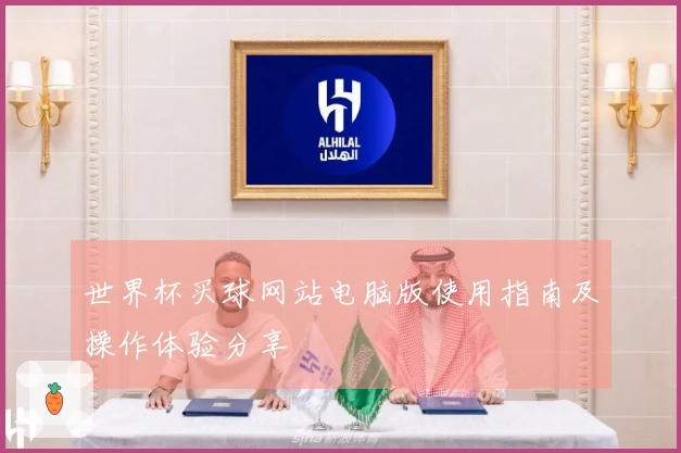 世界杯买球网站电脑版使用指南及操作体验分享