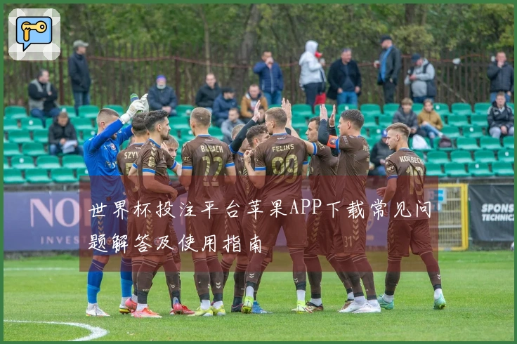 世界杯投注平台苹果APP下载常见问题解答及使用指南