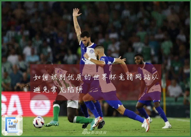如何识别优质的世界杯竞猜网站以避免常见陷阱