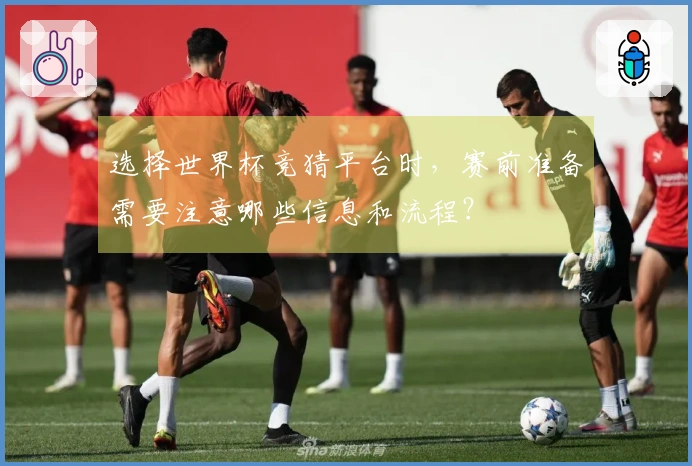 选择世界杯竞猜平台时，赛前准备需要注意哪些信息和流程？