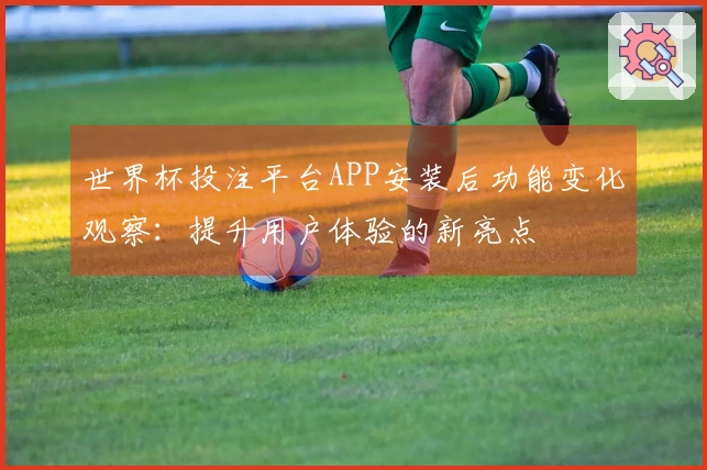 世界杯投注平台APP安装后功能变化观察：提升用户体验的新亮点