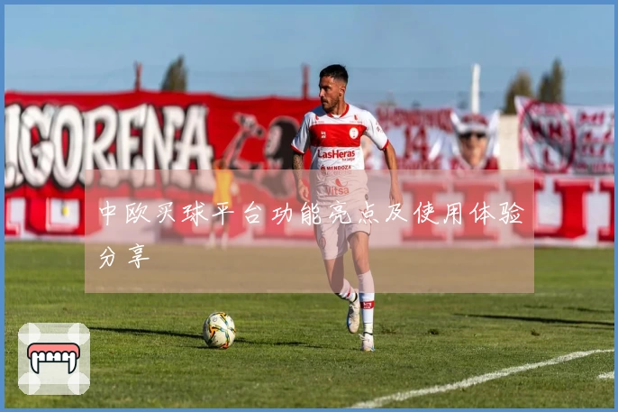 中欧买球平台功能亮点及使用体验分享
