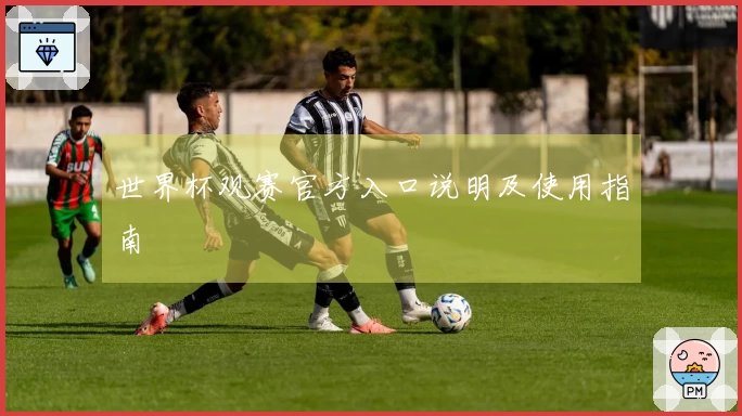世界杯观赛官方入口说明及使用指南