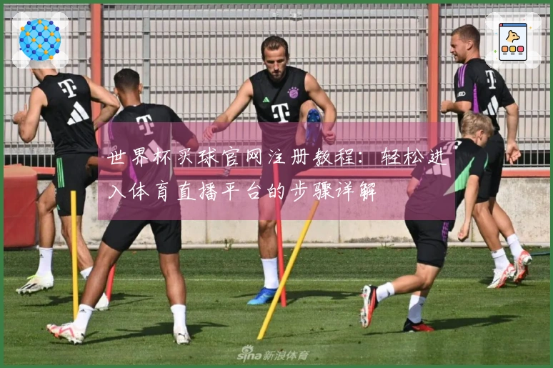 世界杯买球官网注册教程：轻松进入体育直播平台的步骤详解
