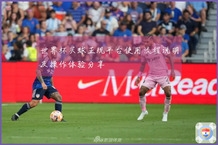 世界杯买球正规平台使用流程说明及操作体验分享